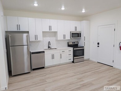 311 E Lorene St unit 2206, Rexburg, ID 83440 - photo 4