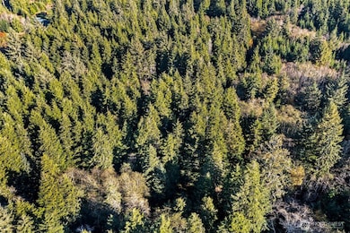 0 Lot 35 Bay Ln, South Bend, WA 98596 - photo 4