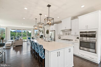 25065 Cambridge Hill Terrace, Chantilly, VA 20152 - photo 6