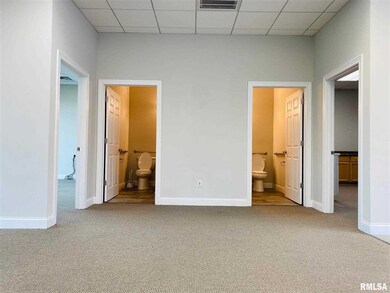 201 N Main St unit 201-1, Port Byron, IL 61275 - photo 4