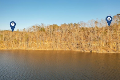 LOT 8 Flat Rock Cove, Crane Hill, AL 35053 - photo 5