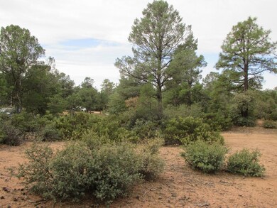 1404 E Graham Ranch Trail, Payson, AZ 85541 - photo 4