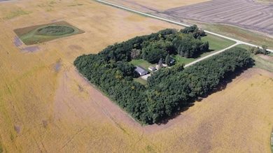 28599 310th St, Wendell, MN 56590 - photo 4