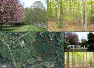 6905 Clifton Rd, Clifton, VA 20124 - photo 3