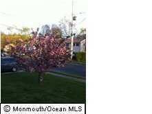 1107 Darlene Ave, Ocean, NJ 07712 - photo 3