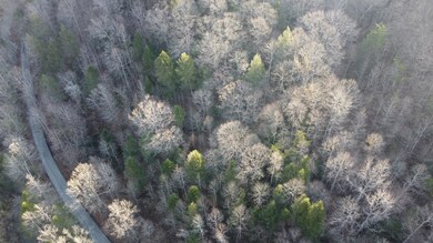 DJI_0564