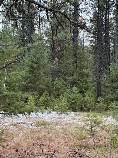 NHN Yearling Run, Alberton, MT 59820 - photo 2