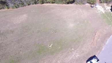 17 R Williams Ln, Lucedale, MS 39452 - photo 3