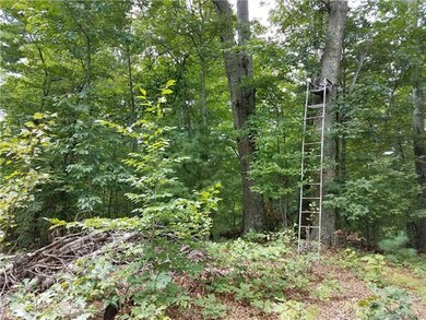 0 Dale Earnhardt Dr unit 3313928, Burnsville, NC 28714 - photo 2