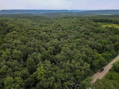 000 Merryman Rd, Formosa Township, AR 72031 - photo 4