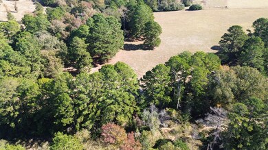 485 Private Road 6142, Grapeland, TX 75844 - photo 6