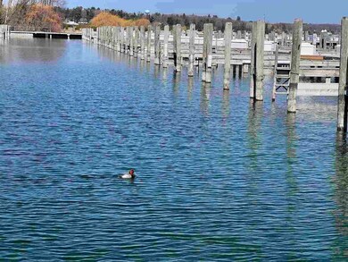 202 Ferry Ave unit 129, Charlevoix, MI 49720 - photo 4