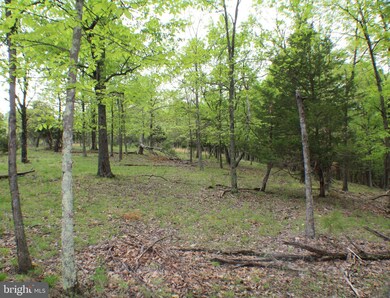 8.05 Acres Morgantown Rd, Maysville, WV 26833 - photo 4