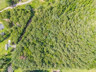 0 Richard Pullen Rd unit 7626794, Cedartown, GA 30125 - photo 2