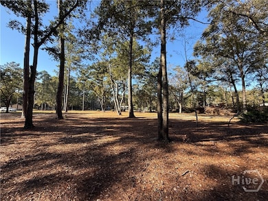 102 Winnai Ln, Guyton, GA 31312 - photo 4