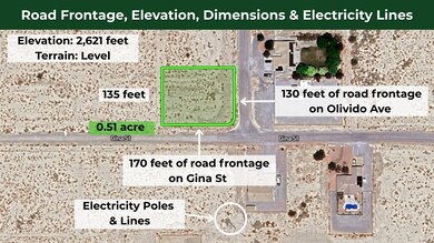 2730 S Olvido Ave, Pahrump, NV 89048 - photo 7
