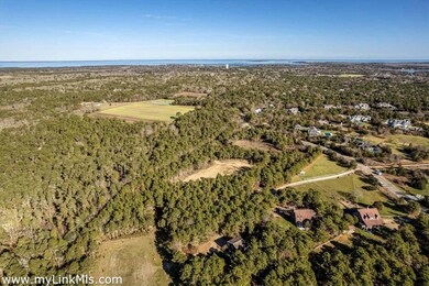 9 Turkeyland Cove Rd unit 10.31430, Edgartown, MA 02539 - photo 4