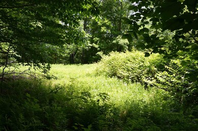 00 Spaulding Rd, Plymouth, VT 05056 - photo 4