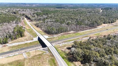 Bird's eye view of a forest