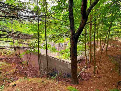 V/L Sloptown Rd, Beaver Island, MI 49782 - photo 2