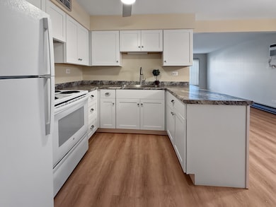 2025 Maple Rd unit 1E, Homewood, IL 60430 - photo 5