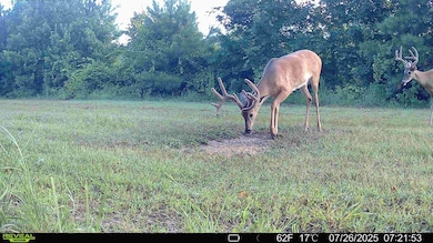 0 Fish Rd, Eastman, GA 31023 - photo 5