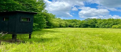 Hunting Blind in large flood plot