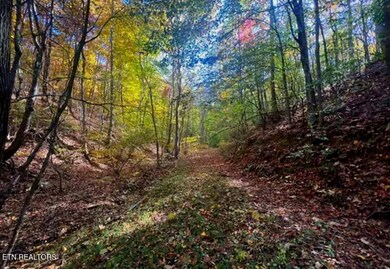 0 Manning Hollow Rd unit 1311320, Sevierville, TN 37876 - photo 3