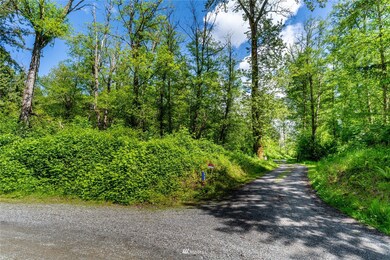 2722 219th St NW, Stanwood, WA 98292 - photo 4