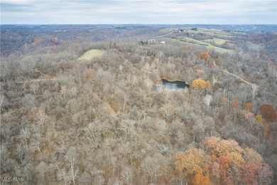 56835 Stephens Rd, Jacobsburg, OH 43933 - photo 2