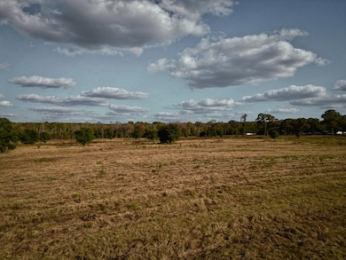 25+/- AC Spruce St, Poplarville, MS 39470 - photo 3