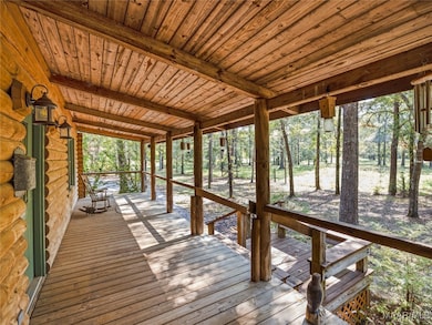 13922 Old Pike Rd, Mathews, AL 36052 - photo 5