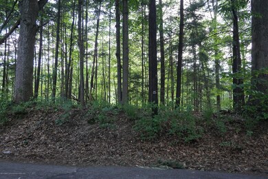 DSC08067
