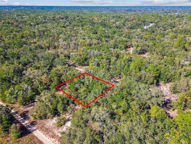 2903 Tyler St, Inverness, FL 34453 - photo 2