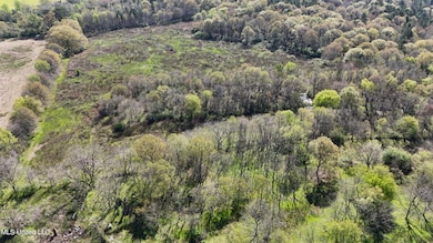 DJI_20240330101803_0059_D