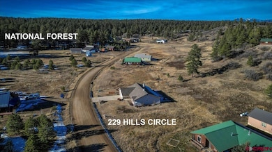 229 Hills Cir, Pagosa Springs, CO 81147 - photo 4