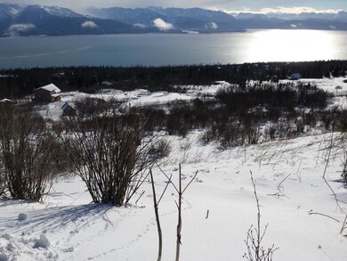 2-17-14 Jacks Homer property (3)