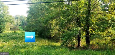 000 Hope Rd, Stafford, VA 22554 - photo 6