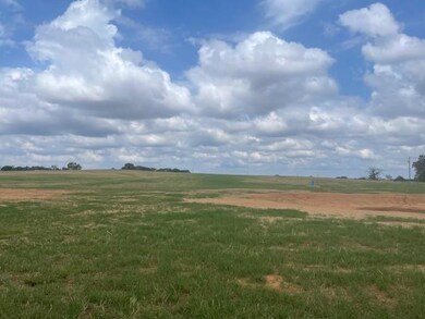 4 County Road 4371, Decatur, TX 76324 - photo 5