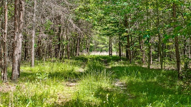 Fredonia Mountain
