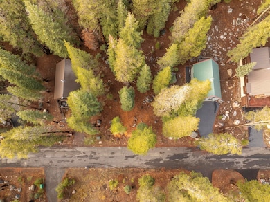 6303 Tamarack Way, Soda Springs, CA 95728 - photo 4