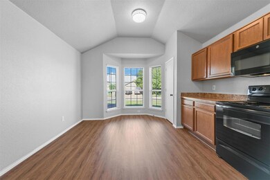 4200 Beryl Ln, Granbury, TX 76049 - photo 5