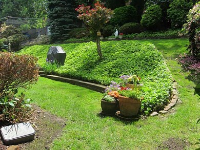 Yard/Garden.