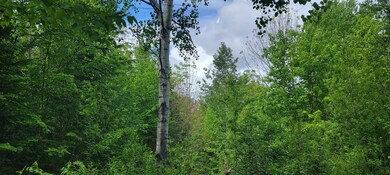 Lot 1-107 Steeple View Dr, Bethlehem, NH 03574 - photo 6