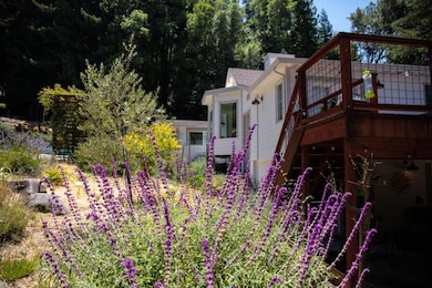 1003 Laurel Glen Rd, Soquel, CA 95073 - photo 6