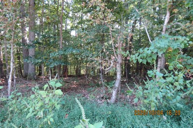 14 Cheree Loop, Stewart, TN 37175 - photo 4