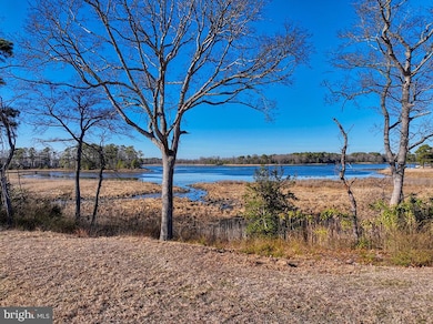 Lot 10 Possum Point Rd, Millsboro, DE 19966 - photo 3