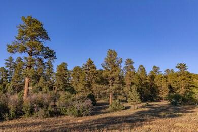 PineGrove