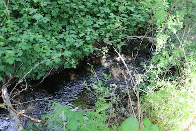 0 W Hills Terrace unit 10447433 220202324, Medford, OR 97501 - photo 6