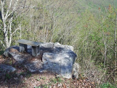 DSCF3906